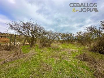 Parcela en Limache