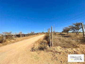 Parcela en Limache