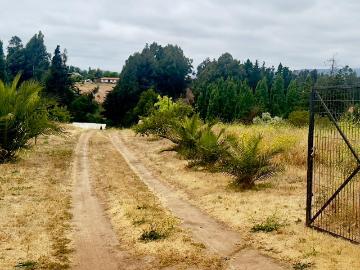 Parcela en Puchuncaví