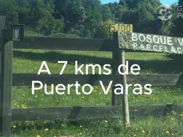 Parcela en Puerto Varas