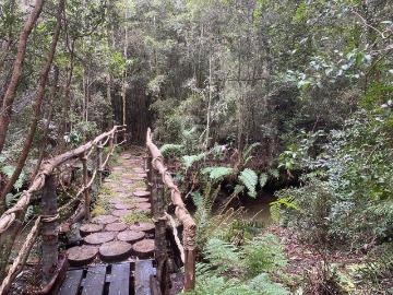 Parcela en Puerto Varas