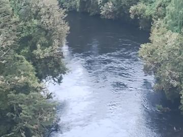 Parcela en Puerto Montt