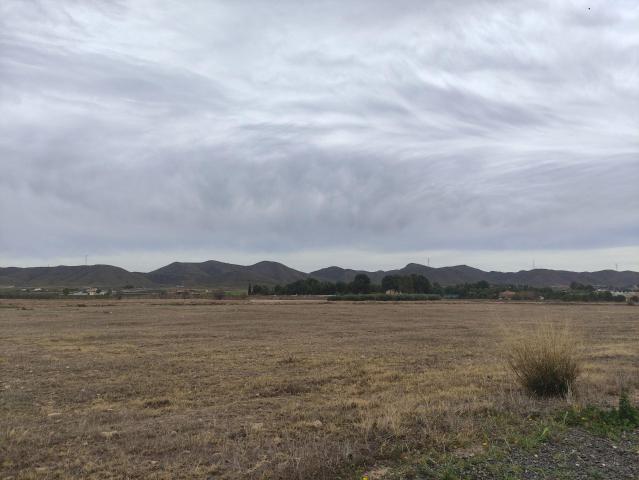 Parcela en Purias