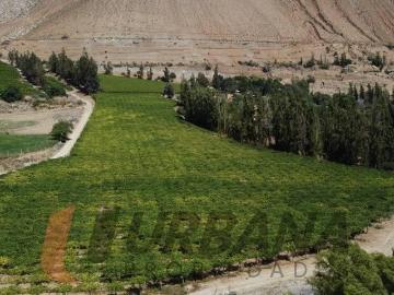 Parcela en Paihuano