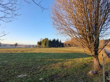 Parcela en Panguipulli