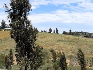 Parcela en Paredones