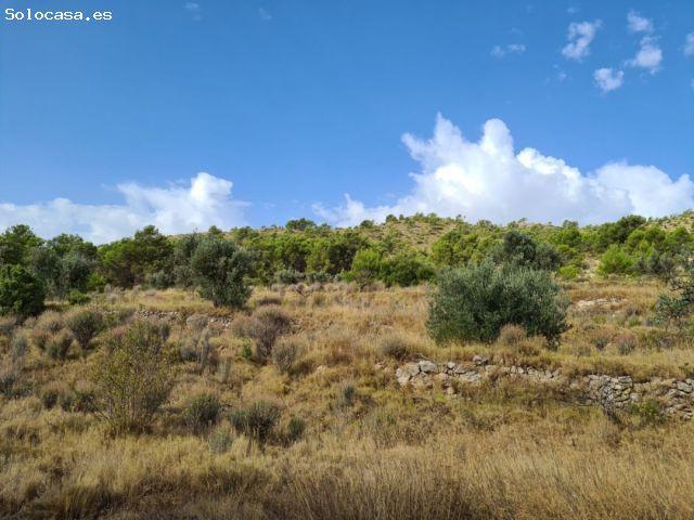 Parcela en Pinoso