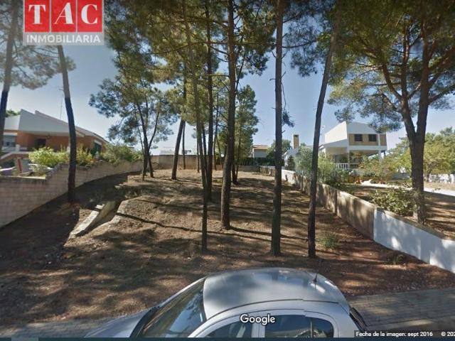 Parcela en Pinares de Lepe