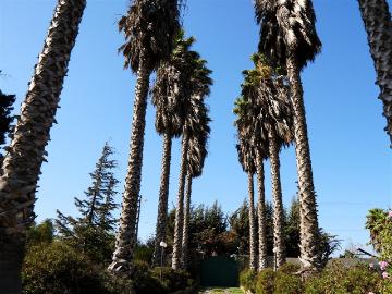 Parcela en Quillota