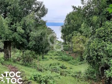Parcela en Río Bueno