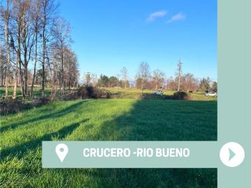 Parcela en Río Bueno