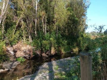 Parcela en Río Bueno