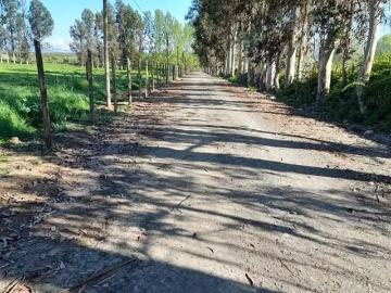 Parcela en San Clemente