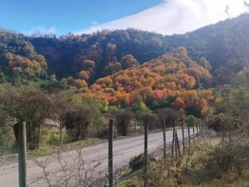 Parcela en San Clemente