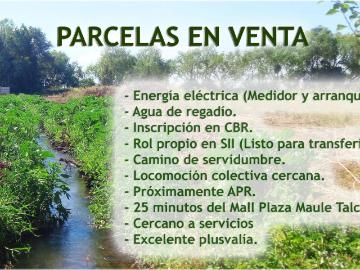 Parcela en San Clemente