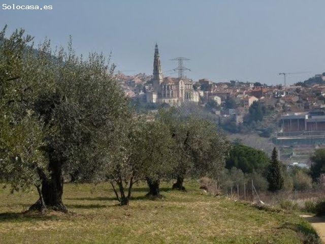 Parcela en Sant feliu del Racó