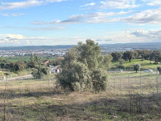 Parcela en Santa Ana de la Albaida con Vistas Espectaculares