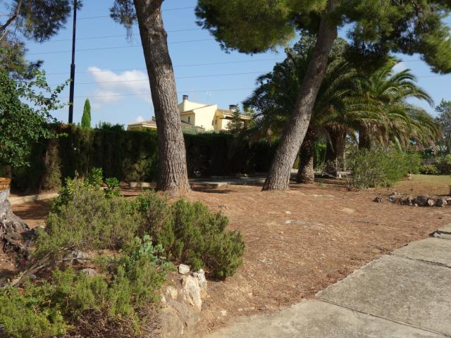 Parcela en Santa Apolonia