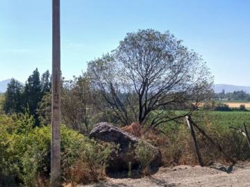 Parcela en Talagante