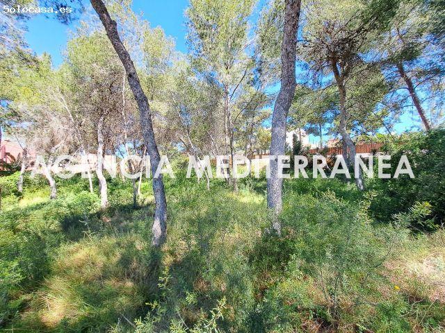 ? ¡Parcela en una de las mejores zonas de La Cañada! ?