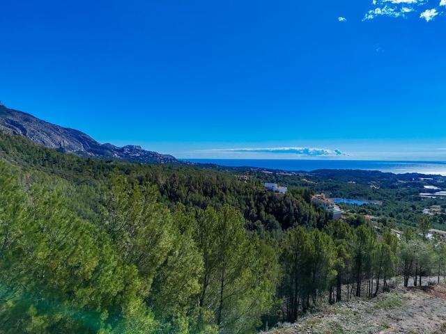 Parcela en venta. ALTEA