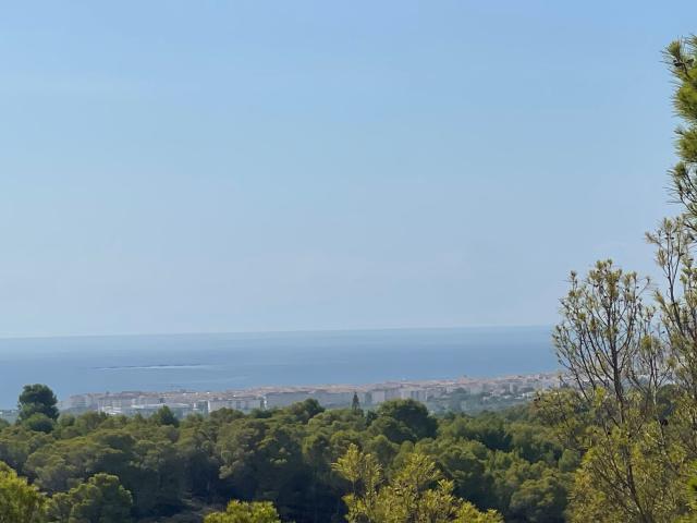Parcela en venta. ALTEA