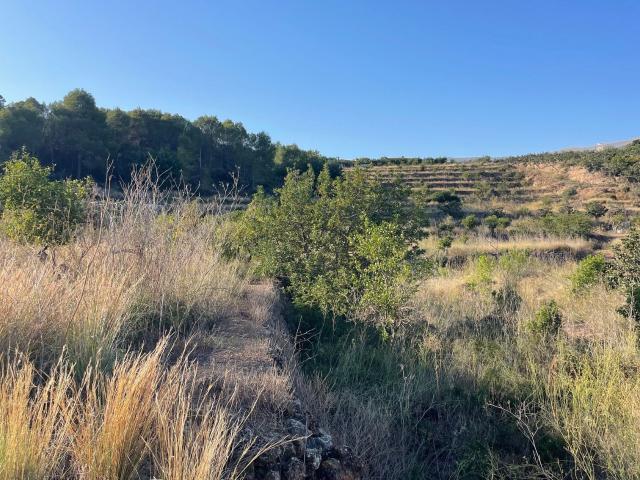 Parcela en venta. CALLOSA D'EN SARRIà