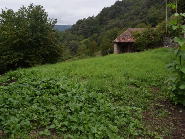 Parcela en venta. CANGAS DE ONíS
