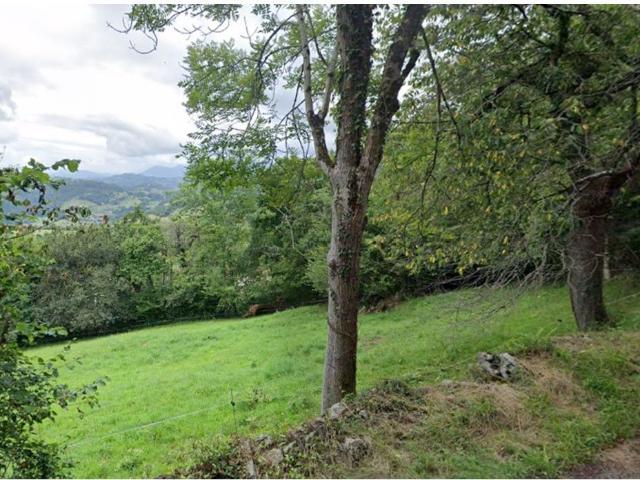 Parcela en venta. CANGAS DE ONíS