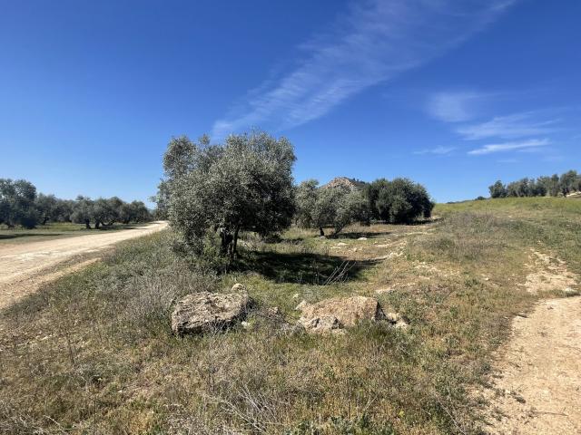 Parcela en venta con hermosas vistas en Mollina