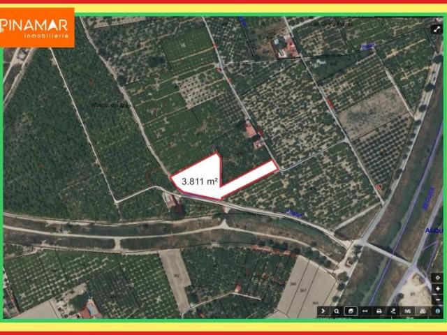 Parcela en venta en Murcia, Alquerias