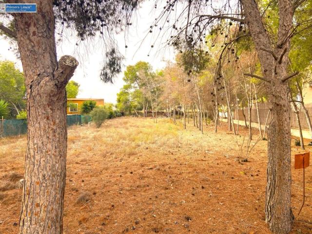 Parcela en venta en Murcia Murcia
