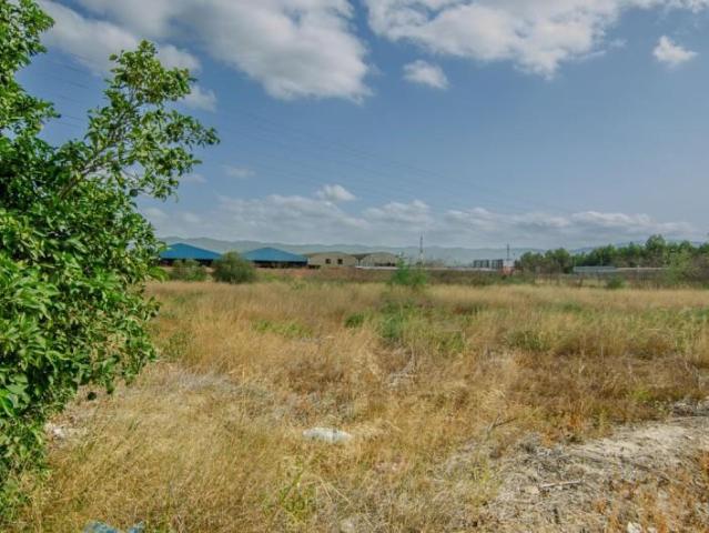 Parcela en venta en Murcia, San Gines