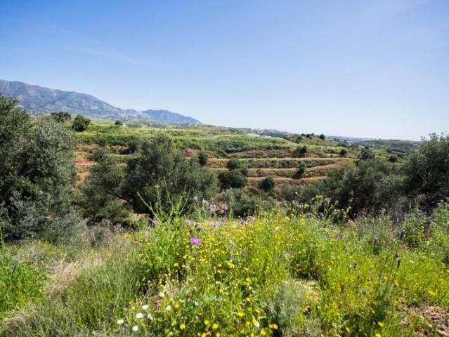 Parcela en venta en Mijas, ENTRERRIOS