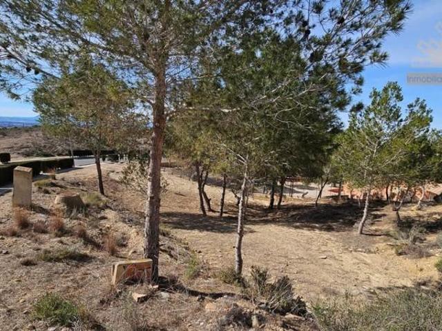 Parcela en venta en Molina de Segura, Altorreal