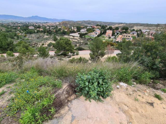 Parcela en venta en Molina de Segura, La Alcayna