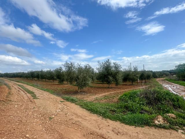 Parcela en venta en Mollina