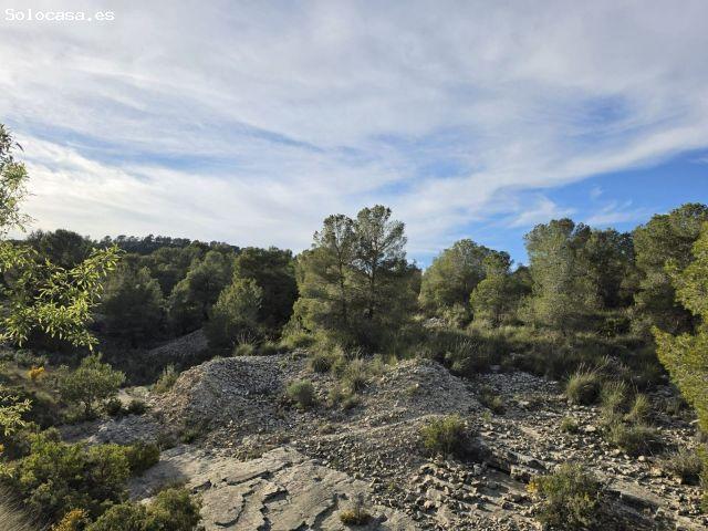 Parcela en Venta en Monovar Monover, Alicante