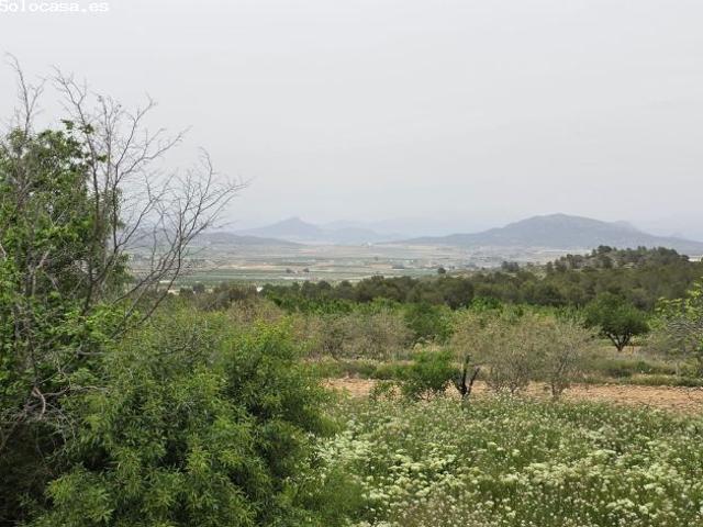 Parcela en Venta en Monovar Monover, Alicante