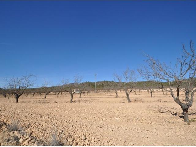 Parcela en Venta en Monovar Monover, Alicante