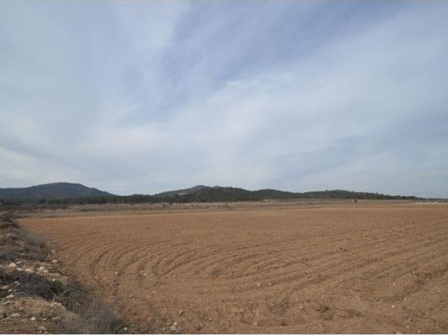 Parcela en Venta en Monovar Monover, Alicante