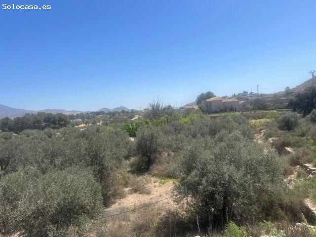 Parcela en Venta en Monovar Monover, Alicante
