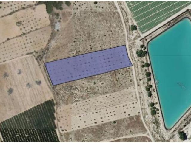Parcela en Venta en Monovar Monover, Alicante