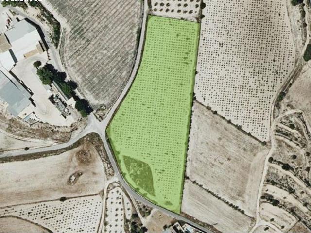 Parcela en Venta en Monovar Monover, Alicante