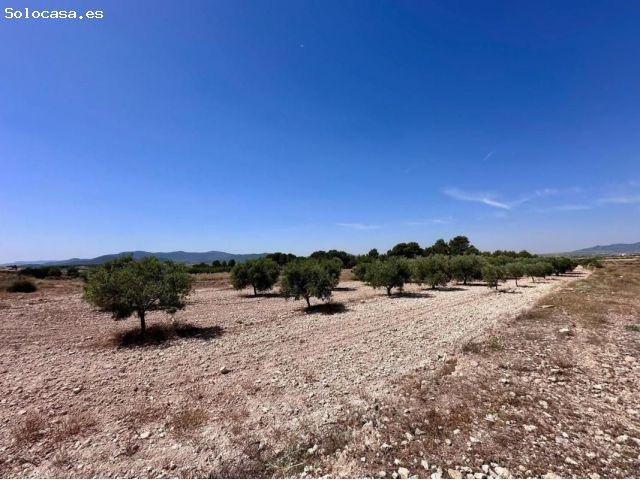 Parcela en Venta en Monovar Monover, Alicante