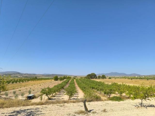 Parcela en venta en Monovar Monover, Comunidad valenciana