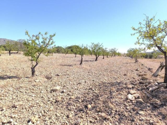 Parcela en venta en Monovar Monover, Comunidad valenciana