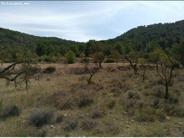Parcela en Venta en Abanillas, Murcia