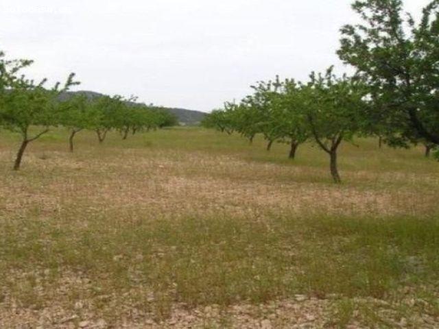 Parcela en Venta en Abanillas, Murcia