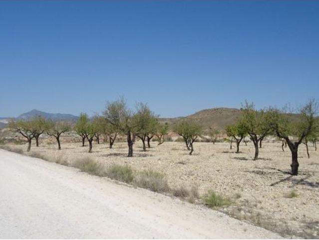Parcela en Venta en Abanillas, Murcia